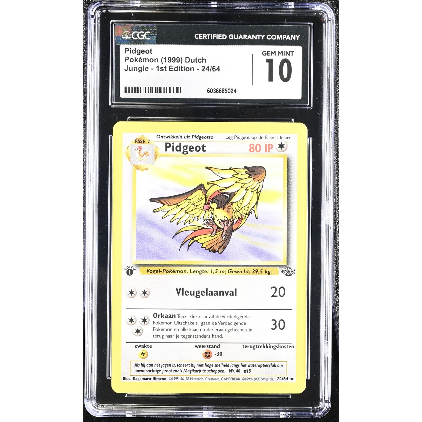 CGC 10 GEM MINT Pidgeot 1st Edition 24/64 Pokemon Dutch Jungle (PSA/BGS) Pop 1