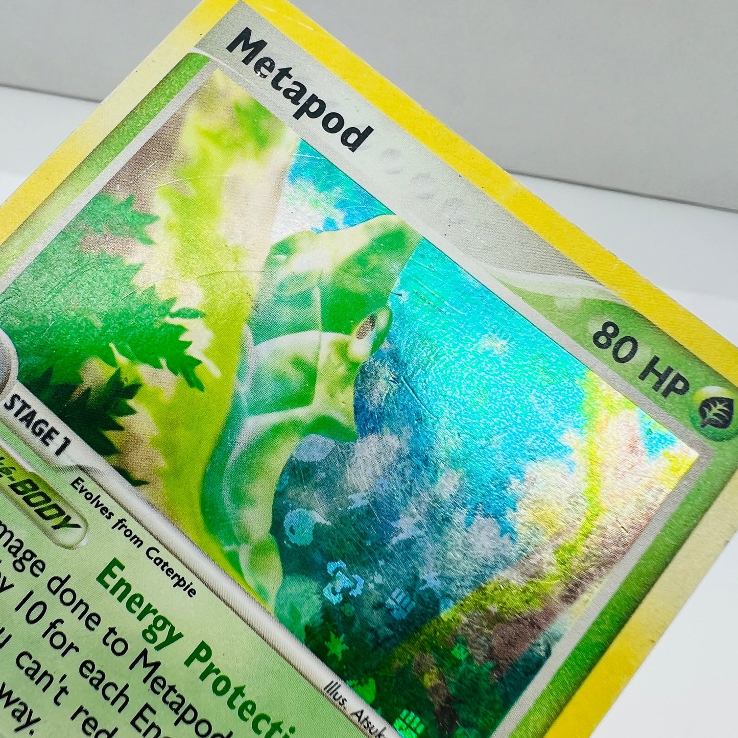 Pokémon Metapod 39/112 Fire Red Leaf Green Pokemon Reverse Holo Foil Card MP-PL