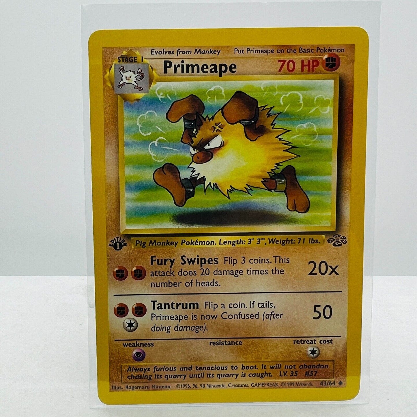 Pokémon Marawok 1st Edition 43/64 Jungle WOTC Pokemon Uncommon Card NM-MT