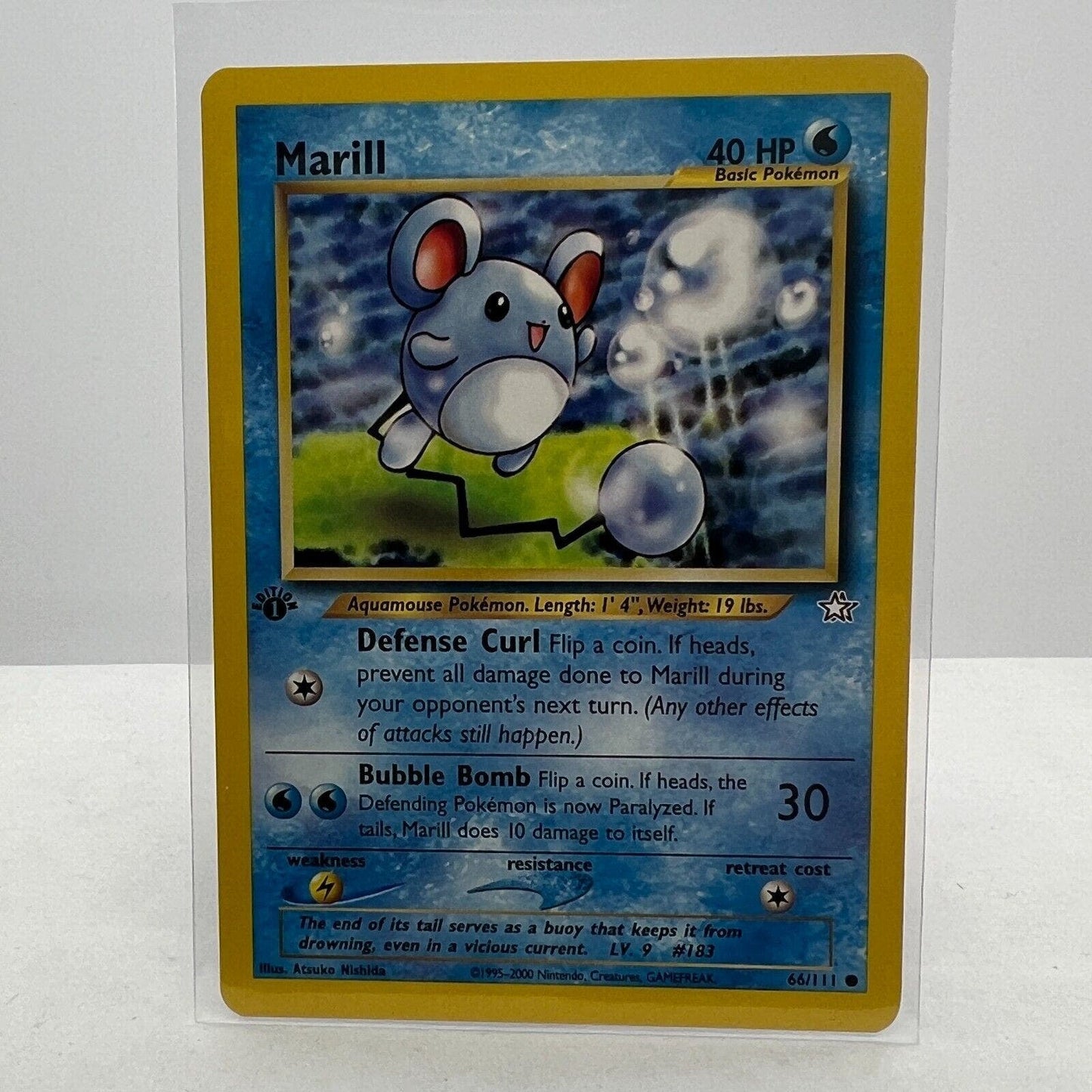 Pokémon Marill 1st Edition 66/111 Neo Genesis WOTC Pokemon Common Card NM-MT