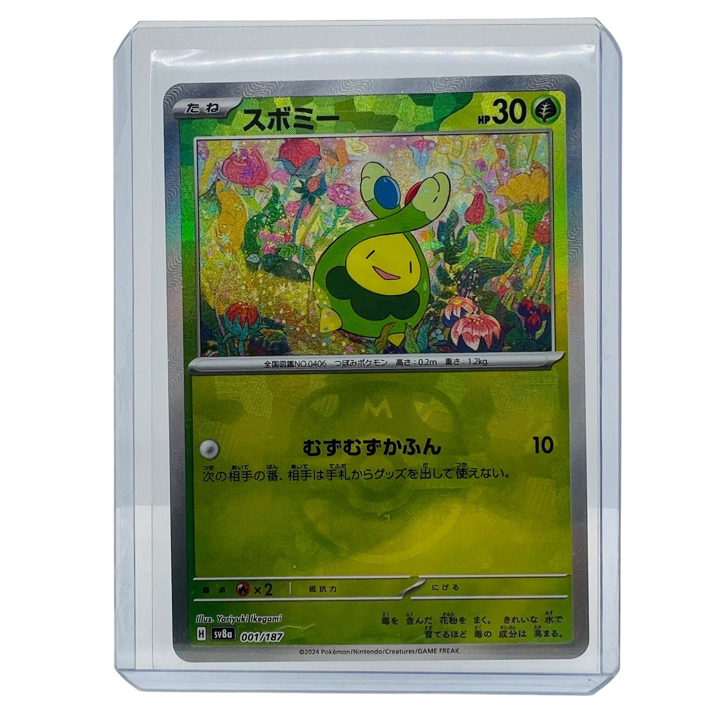 Pokémon Budew Master Ball 001/187 Pokemon Japanese Terastal Festival EX NM-MT