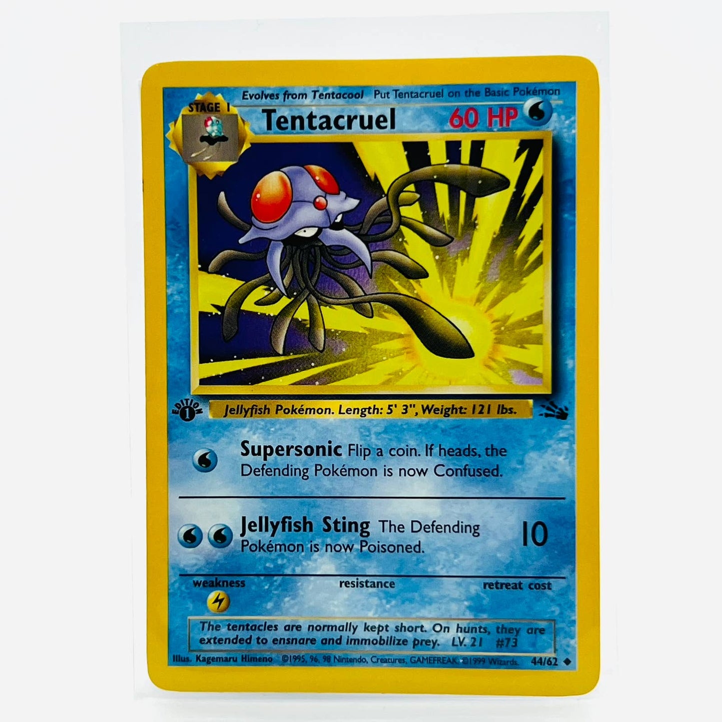 Pokémon Tentacruel 44/62 Fossil WOTC TCG Pokemon Uncommon Card NM-Warped