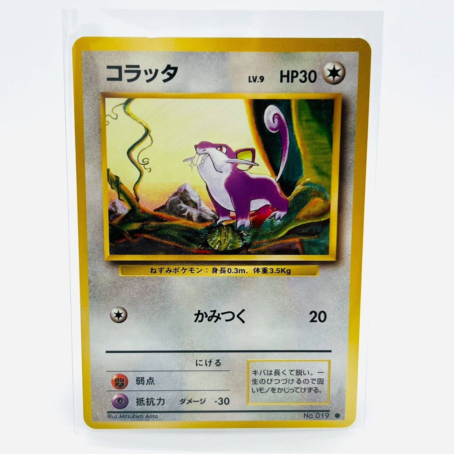 Pokémon Rattata 019 Japanese Base Set Pokemon Pocket Monsters Common Card NM