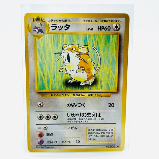 Pokémon Raticate 020 Japanese Base Set Pokemon Pocket Monsters Uncommon NM-MT