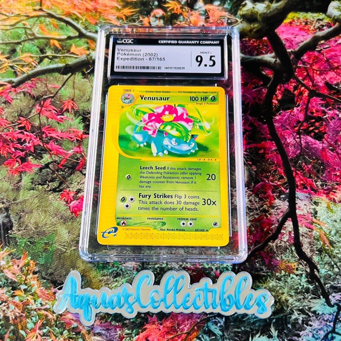 CGC 9.5 MINT+ Venusaur 67/165 Pokémon Expedition 2002 Non Holo (PSA/BGS)