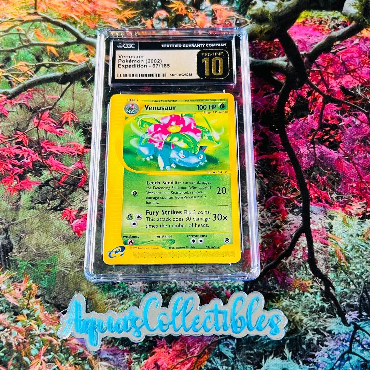 CGC 10 PRISTINE Venusaur 67/165 Pokémon Expedition 2002 (PSA/BGS) Gold Label